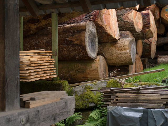 Schwarzwald Forest – Sawmill Messmer 2022 – Photo Hampus Berndtson High Res